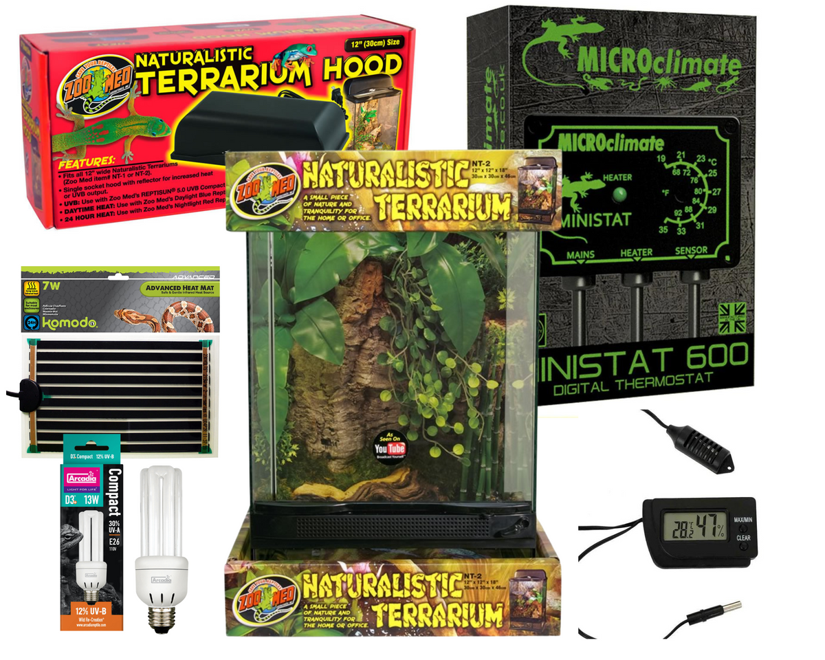 Tree Frog Starter Kit