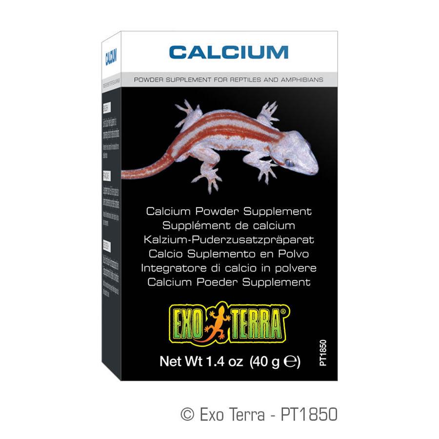 Exo Terra Reptile Calcium (no D3)