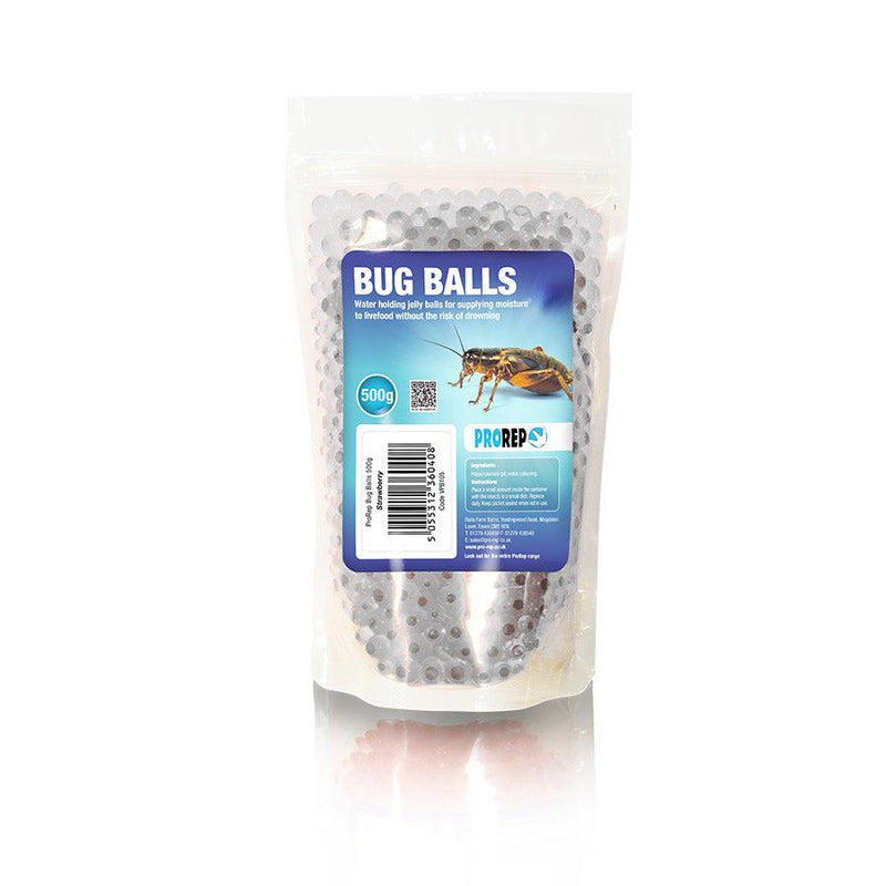 Insect Food & Gutloading