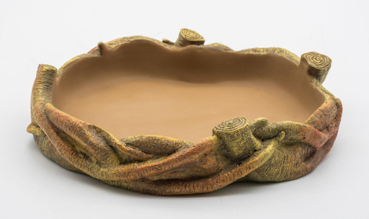 Root Dish