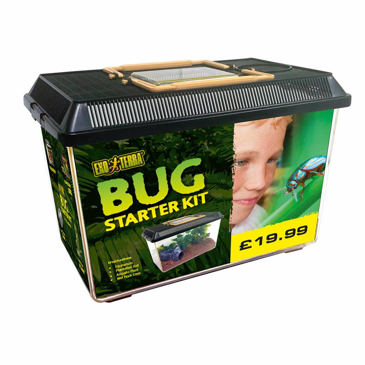 Exo Terra Bug Starter Kit