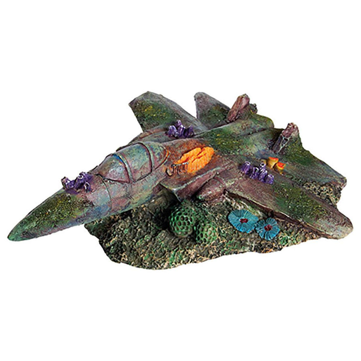 Sunken Fighter Jet