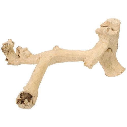 Reptile Branch