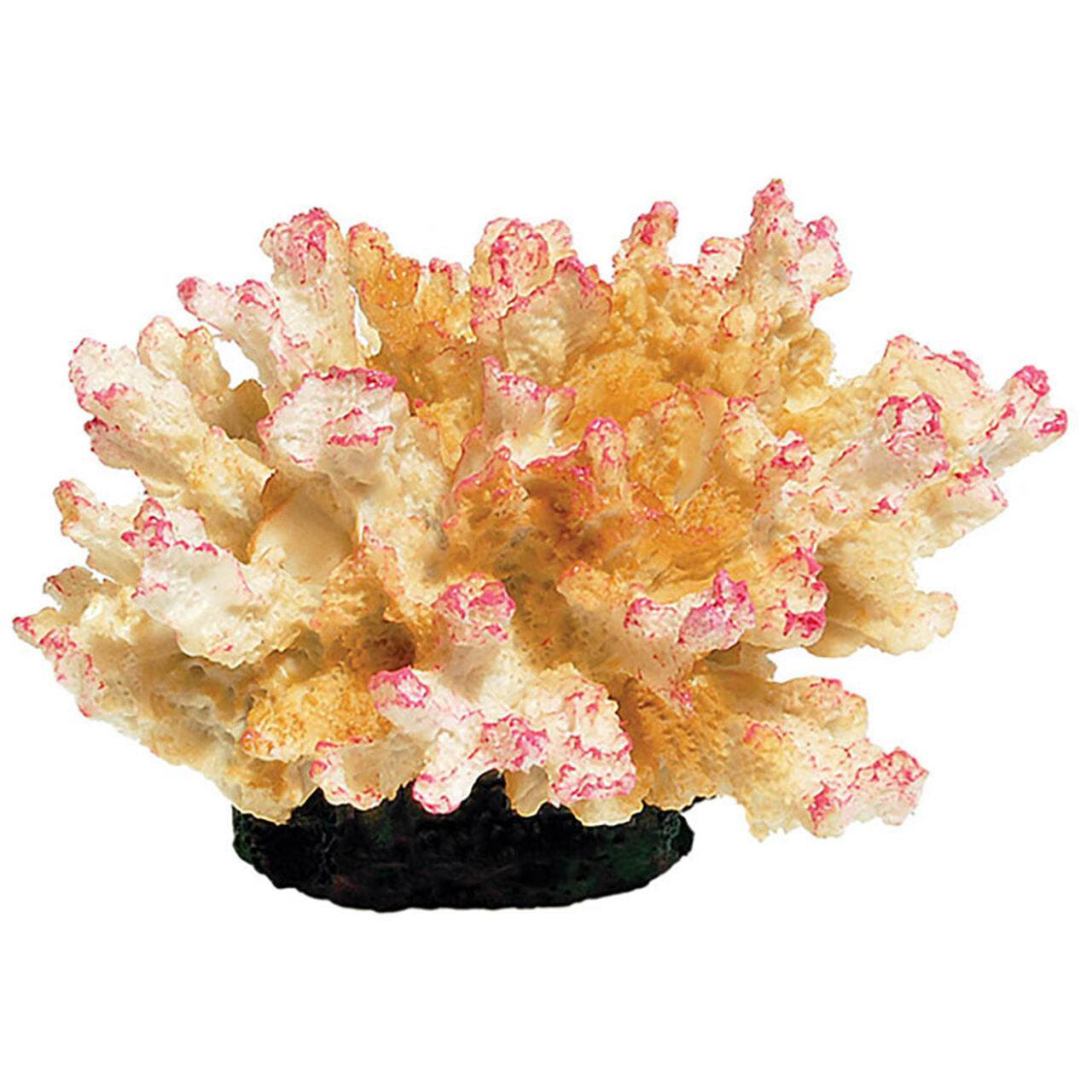 AquaSpectra Coral