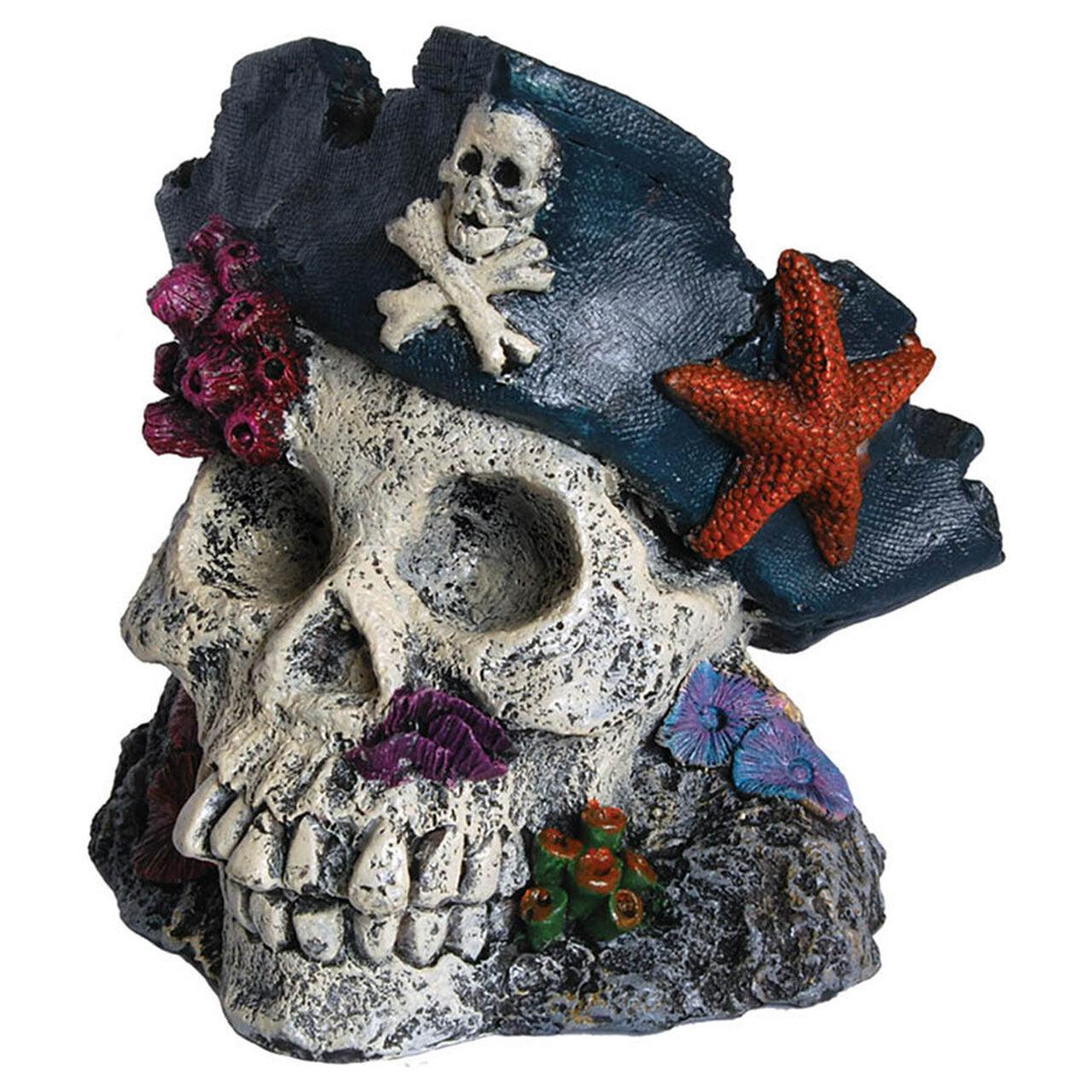 AquaSpectra Skull with Pirate Hat