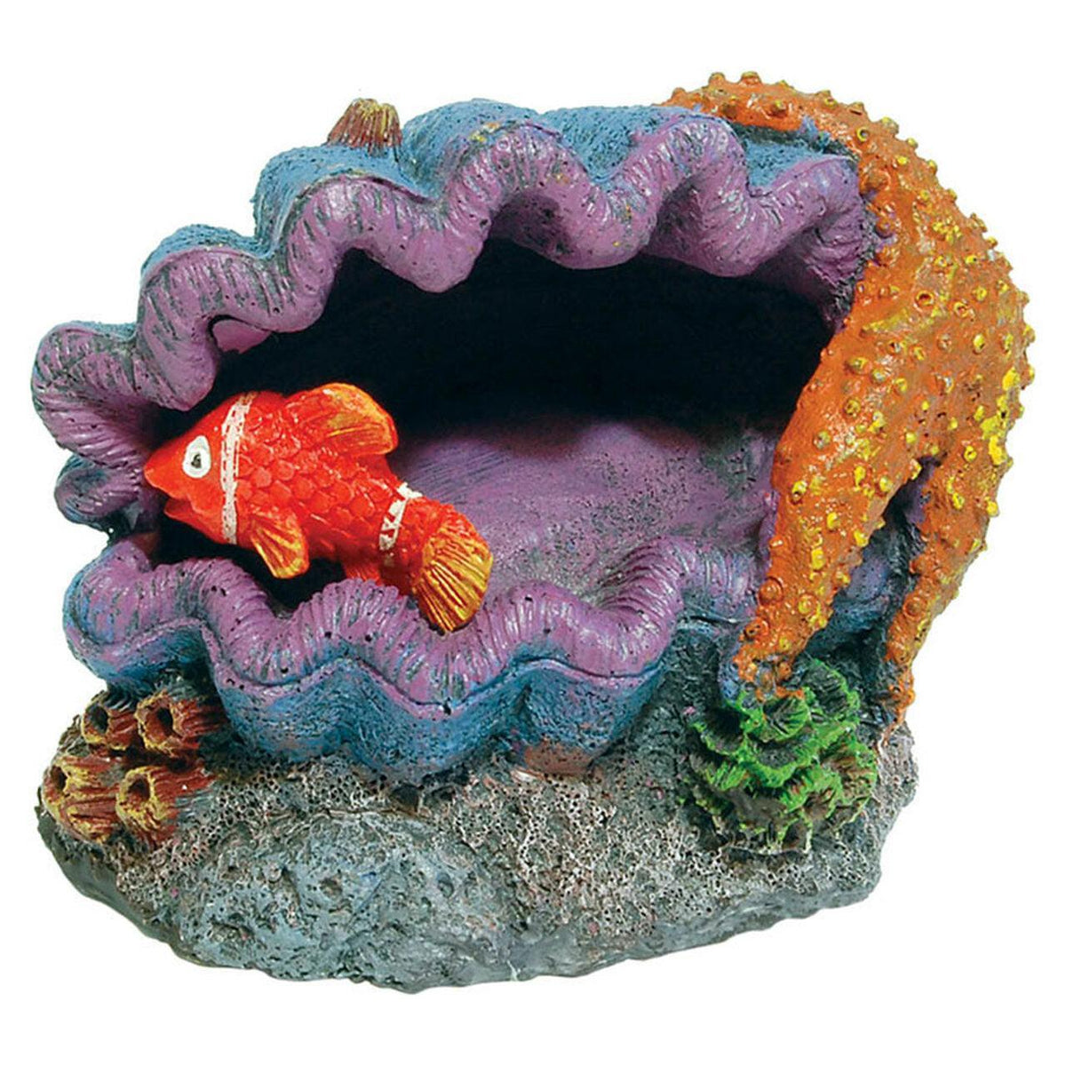 Seashell Fish